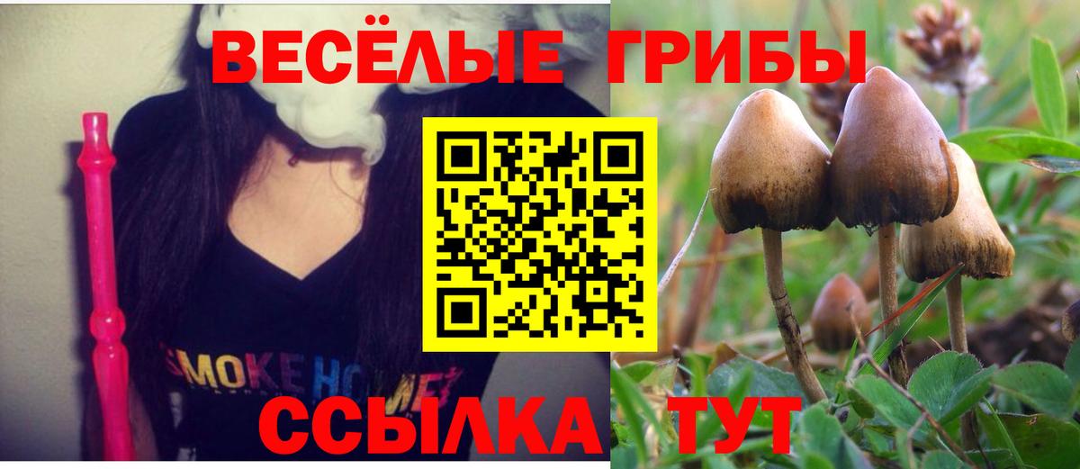 Галлюциногенные грибы GOLDEN TEACHER  Вход с VPN  Северск 